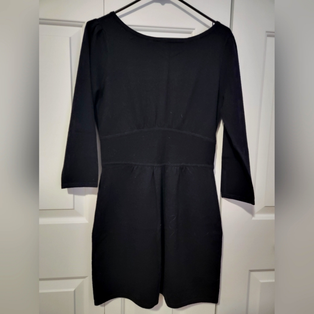 Express Sweater Dress